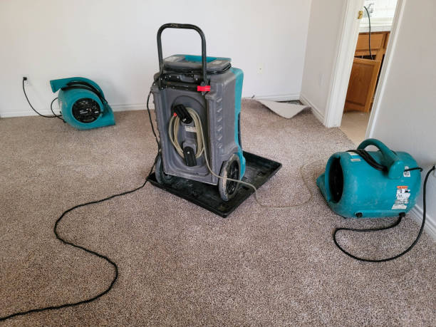 Best Fire Damage Restoration  in Badieville, LA