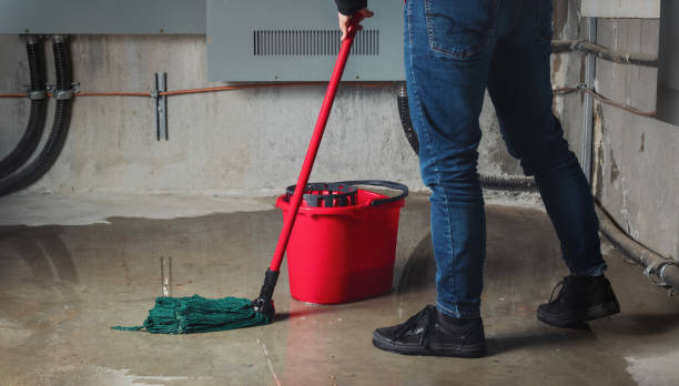 Best Professional water damage repair  in Badieville, LA