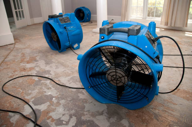 Best Water damage restoration near me  in Badieville, LA
